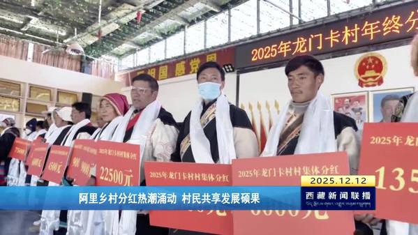 阿里乡村分红热潮涌动 村民共享发展硕果