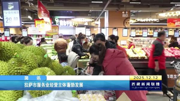 拉萨市服务业经营主体蓬勃发展