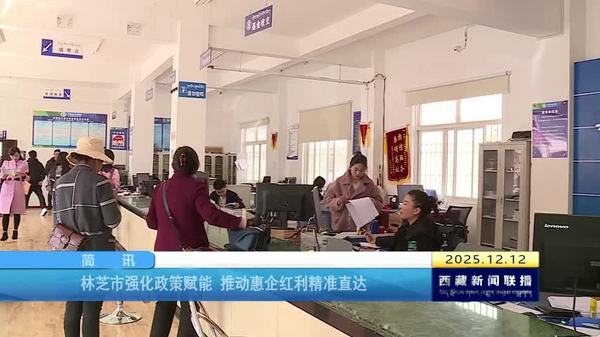 林芝市强化政策赋能 推动惠企红利精准直达