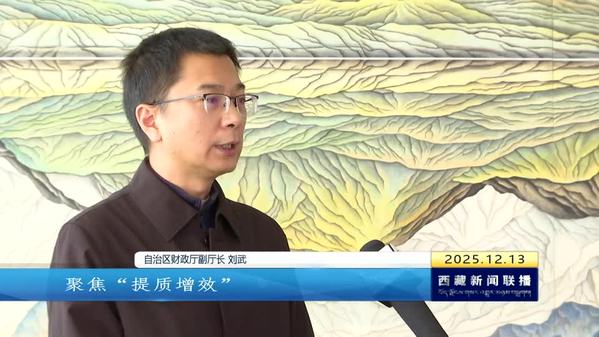 全力以赴努力实现“十五五”开门红——中央经济工作会议精神在西藏自治区引发热烈反响