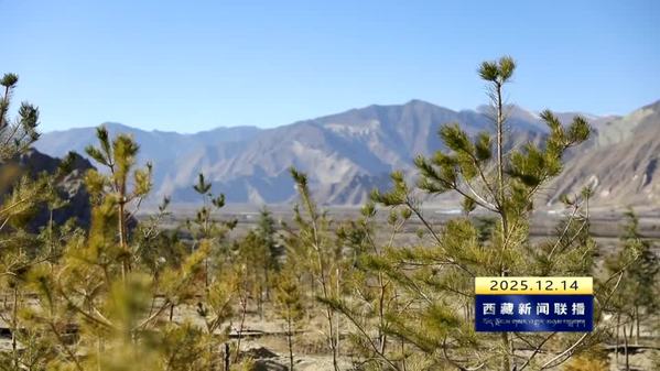 【“十四五”答卷——“四件大事”成果巡礼】创建国家生态文明高地 “四件大事”在西藏结出生态硕果