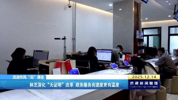 【改进作风“见”落实】林芝深化“无证明”改革 政务服务有速度更有温度