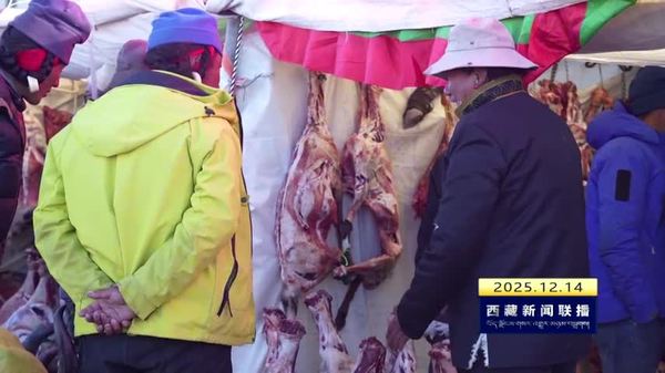 拉孜县举办第十三届冬季物资交流会