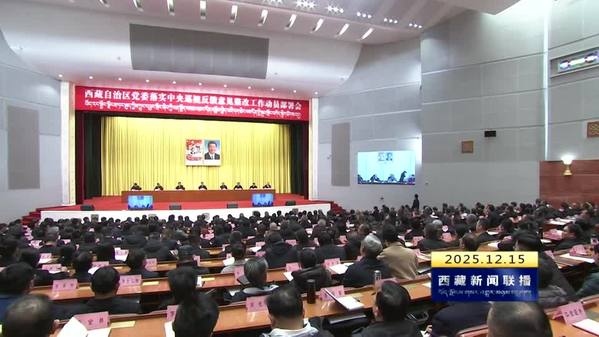 王君正在自治区党委落实中央巡视反馈意见整改工作动员部署会上强调：深入学习贯彻习近平总书记关于巡视工作的重要论述 强化担当作为 压实工作责任 以整改实效推动西藏长治久安和高质量发展