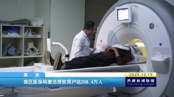 西藏自治区医保码激活授权用户达208.4万人