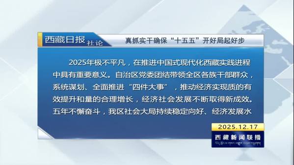 《西藏日报》社论：真抓实干确保“十五五”开好局起好步