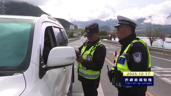 林芝市非法营运治理工作稳步推进