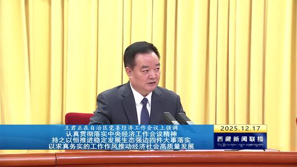 王君正在西藏自治区党委经济工作会议上强调：认真贯彻落实中央经济工作会议精神 持之以恒推进稳定发展生态强边四件大事落实 以求真务实的工作作风推动经济社会高质量发展