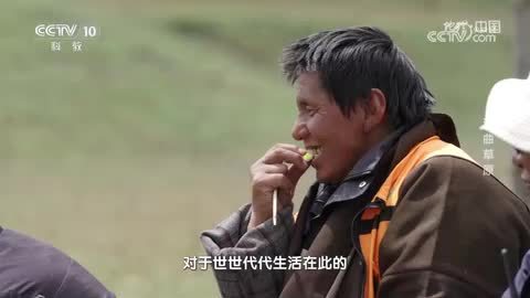 《地理·中国》河曲草原