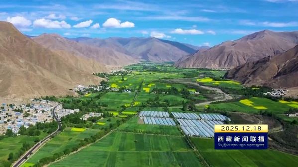 锚定“十五五”新目标 谱写高质量发展新篇章