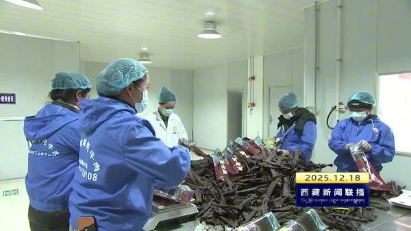 山南市金融服务保障精准有力