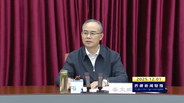 姜文鹏在自治区纪委常委会会议上强调：深入学习贯彻自治区党委十届九次全会精神 为“十五五”时期西藏经济社会发展提供坚强保证