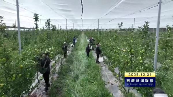 朗县强化科技赋能 推动产业高质量发展