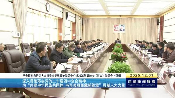 严金海在自治区人大常委会党组理论学习中心组2025年第10次（扩大）学习会上强调：深入贯彻落实党的二十届四中全会精神 为“共建中华民族共同体 书写美丽西藏新篇章”贡献人大力量