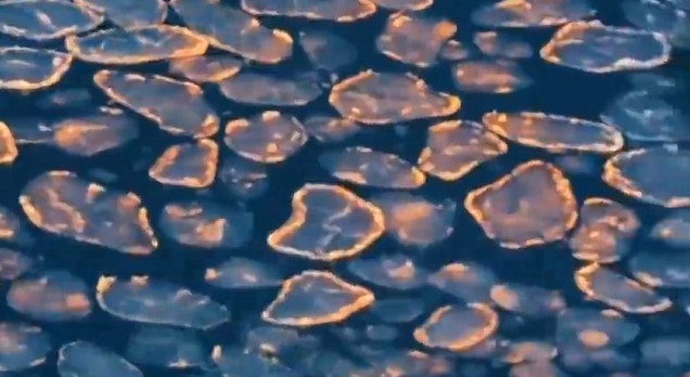 青海哈拉湖绝美日出 无人区的极致浪漫