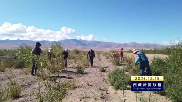 “十四五”期间西藏自治区完成工程固沙建设任务8.42万亩