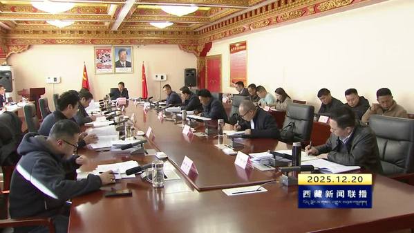 斯朗尼玛在区党委统战部部务会会议上强调：要切实担负起巡视整改的政治责任 逐项逐条抓好巡视反馈问题整改