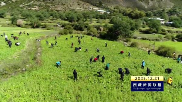 那曲市嘉黎县入选第一批美丽乡村先行区建议名单