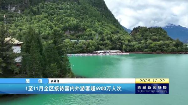 1至11月西藏自治区接待国内外游客超6900万人次