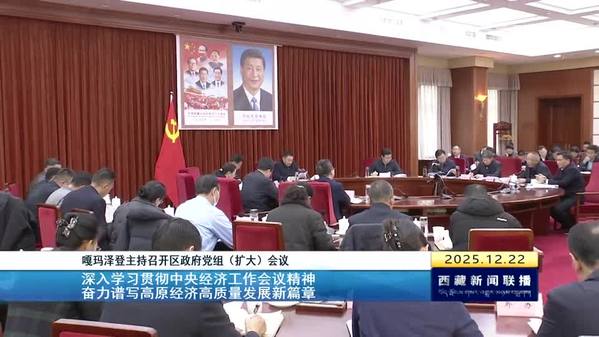 嘎玛泽登主持召开区政府党组（扩大）会议 深入学习贯彻中央经济工作会议精神 奋力谱写高原经济高质量发展新篇章