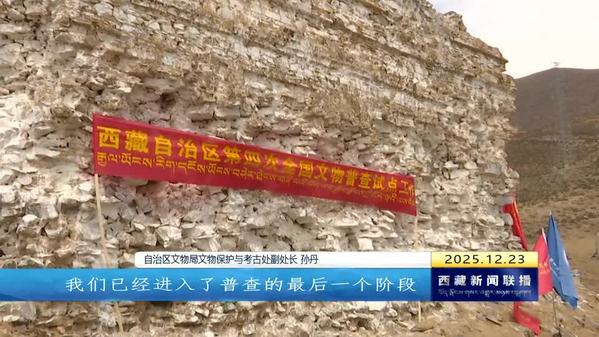 赓续中华文脉 西藏文物事业交出亮眼答卷