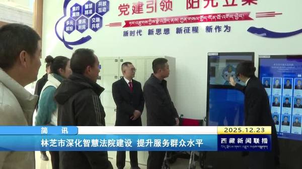 林芝市深化智慧法院建设 提升服务群众水平