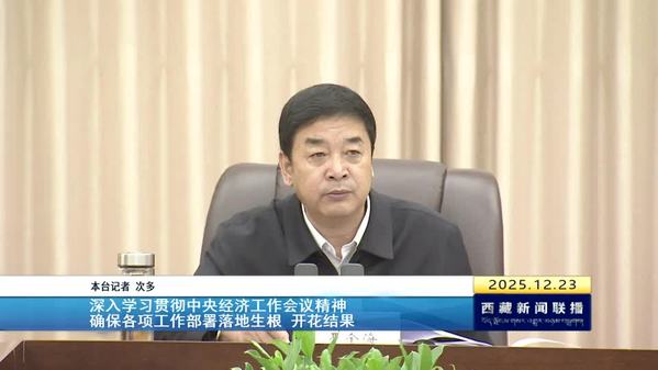 严金海在自治区人大常委会党组（扩大）会议上强调：深入学习贯彻中央经济工作会议精神 确保各项工作部署落地生根 开花结果