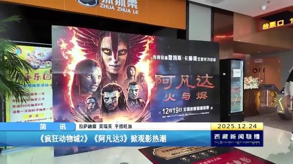 《疯狂动物城2》《阿凡达3》掀观影热潮