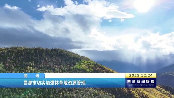昌都市切实加强林草地资源管理