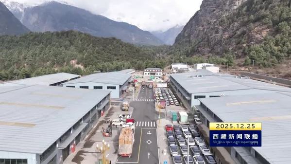 【新时代新征程新伟业·因地制宜发展高原特色优势产业】跨越山海联通世界 高水平对外开放活力四射