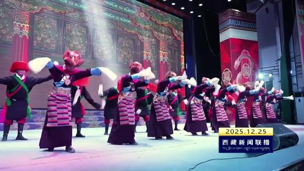 洛扎县举办旅游民宿年度盛典文艺晚会