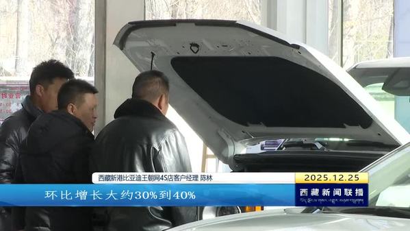 西藏自治区加速推广新能源汽车 绿色出行蔚然成风