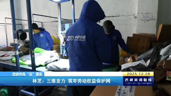 林芝：三维发力 筑牢劳动权益保护网