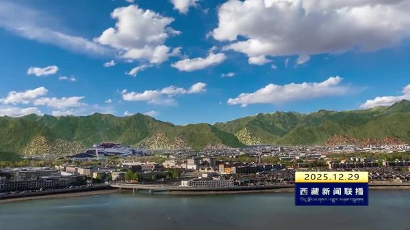 《高原答卷：这一年的奋进与荣光》同心绘就高原新画卷