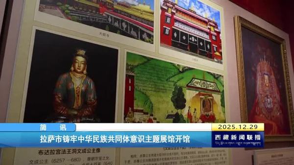 拉萨市铸牢中华民族共同体意识主题展馆开馆