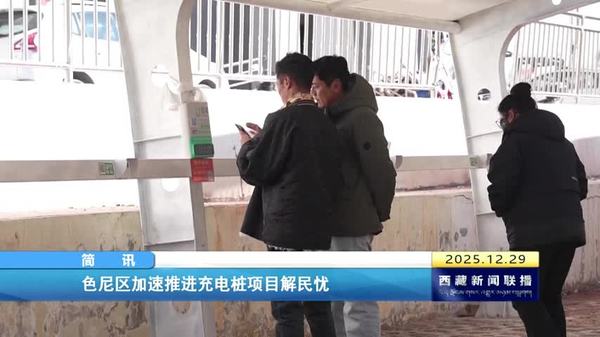 色尼区加速推进充电桩项目解民忧