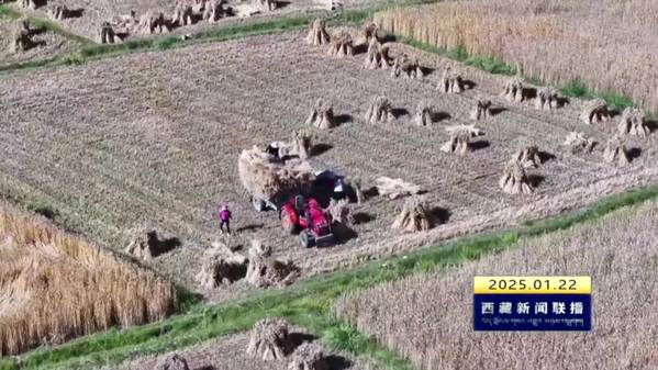 山南：多措并举推动粮食生产再夺丰收