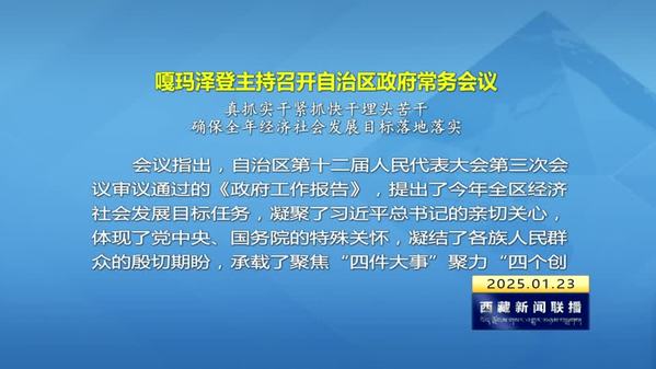 嘎玛泽登：真抓实干紧抓快干埋头苦干 确保全年经济社会发展目标落地落实