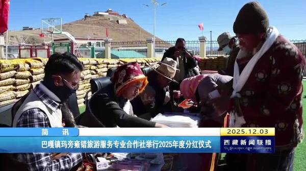 巴嘎镇玛旁雍错旅游服务专业合作社举行2025年度分红仪式