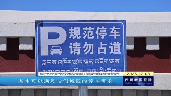 那曲色尼区：以“绣花功夫”勾勒民生幸福画卷