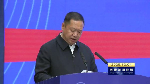 2025年全区“宪法宣传周”活动暨“八五”普法成果展示活动举行