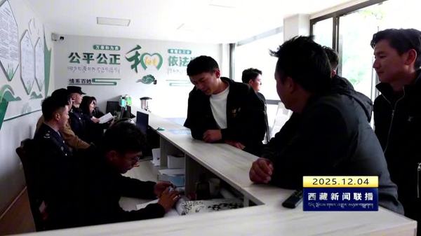 林芝市有序推进综治中心规范化建设