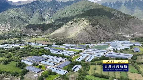 西藏自治区加强土地要素保障 服务经济社会高质量发展