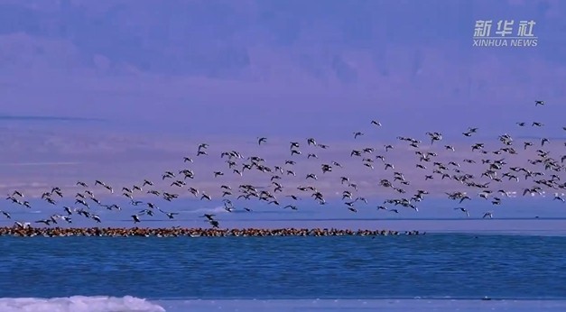青海可鲁克湖冬景如画