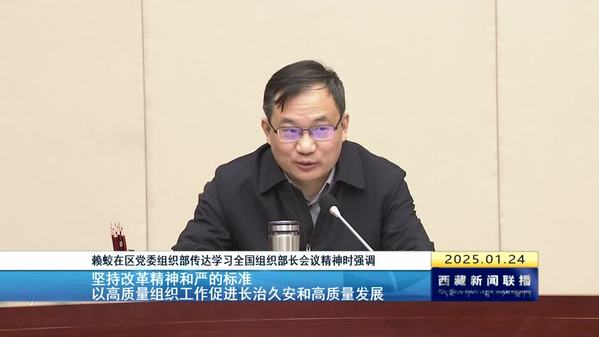 赖蛟：坚持改革精神和严的标准 以高质量组织工作促进长治久安和高质量发展