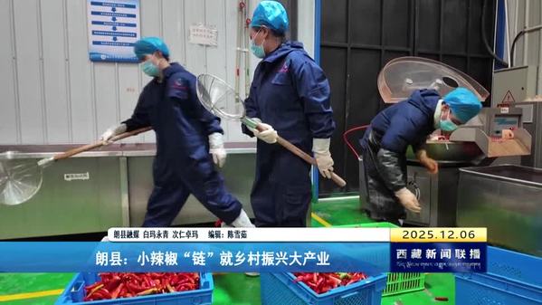 朗县：小辣椒“链”就乡村振兴大产业
