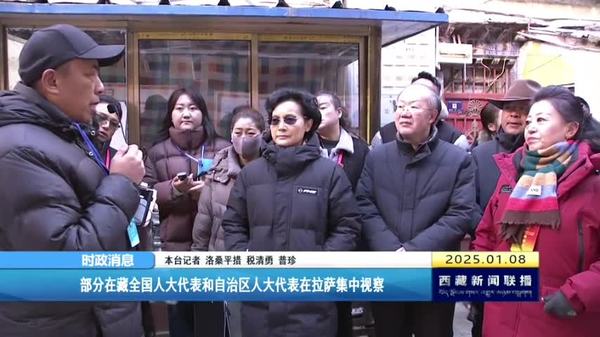 部分在藏全国人大代表和自治区人大代表在拉萨集中视察