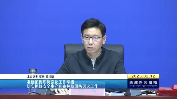 任维：准确把握形势强化工作举措 切实抓好安全生产和森林草原防灭火工作