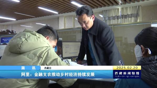 阿里：金融支农推动乡村经济持续发展