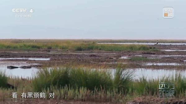 《远方的家》中国自然秘境 高原翠影 生态绿洲